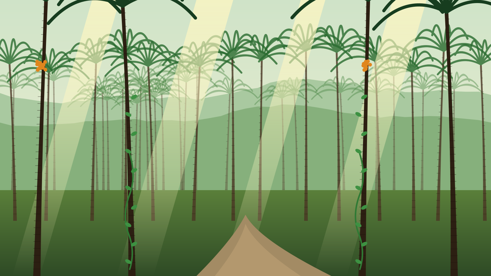 Areca nut plantation groves in Malnad