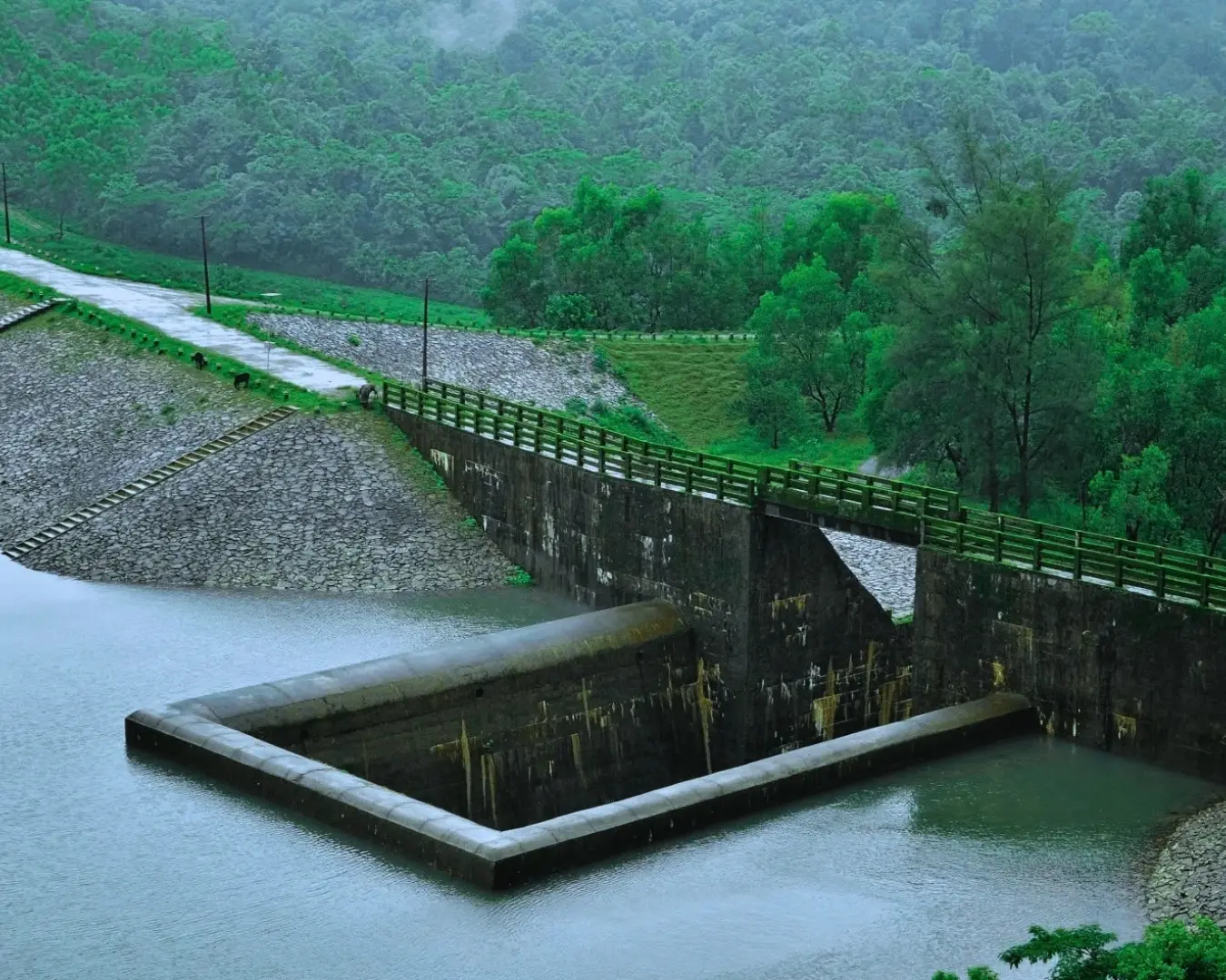 Savehaklu Dam near Kodachadri